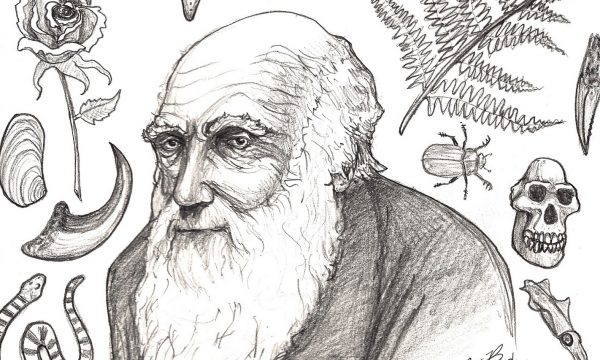 Charles Darwin e la teoria della selezione naturale Scienze per le classi 3^ e 4^